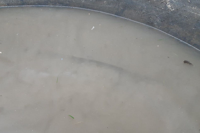 Oprava prasklého dna jímky od spodní vody